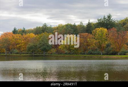 Blick über einen See im frühen Herbst, während die Bäume ihre Farbe ändern, bevor sie ihre Blätter fallen lassen Stockfoto