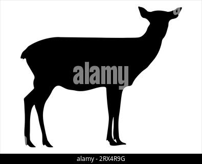 Doe Silhouette Vektor Kunst weißer Hintergrund Stock Vektor