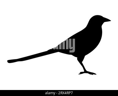 Magpie Vogel Silhouette Vektor Kunst weißer Hintergrund Stock Vektor