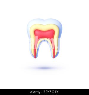 Zahn im Abschnitt 3d, großartige Konstruktion für jeden Zweck. Symbol für medizinischen Schutz. 3D-Vektorillustration Stock Vektor