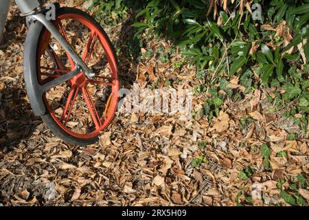 Details zu Leihfahrrädern, die im Herbst in Italien an einer kleinen Straße geparkt sind Stockfoto