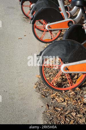 Vertikale Details von Leihfahrrädern, die im Herbst in Italien an der Seite einer kleinen Straße geparkt sind Stockfoto