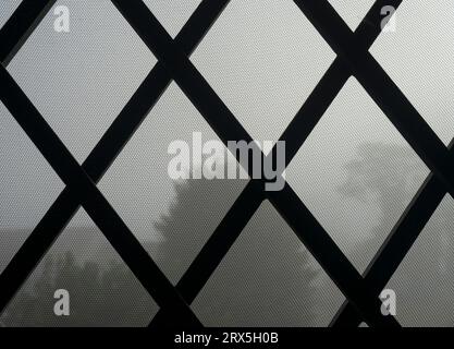 Detail eines Fensters mit Moskitonetz und Eisengitter, im Hintergrund der Blick auf den Nebel in den Bäumen an einem Herbsttag in Italien Stockfoto