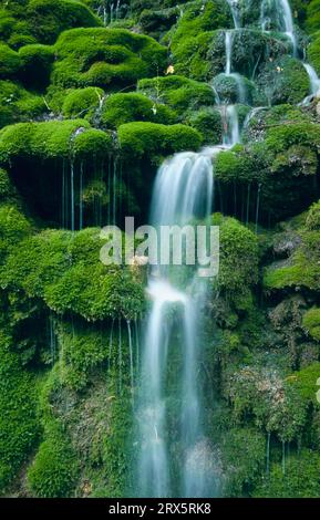 Der Wasserfall auf der Schwäbischen Alb fließt über ein bewachsenes Mooskissen talabwärts Stockfoto