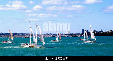 Segelboote, Auckland, Nordinsel, Neuseeland Stockfoto