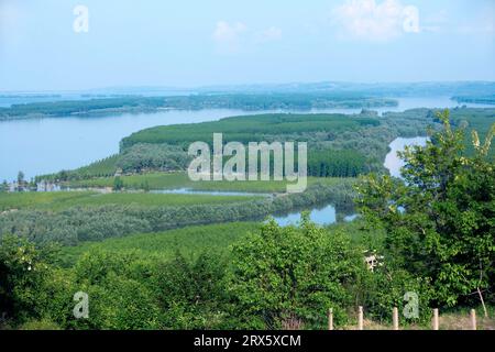 Überschwemmungen auf der Donau im Grenzgebiet zwischen Bulgarien und Rumänien Stockfoto