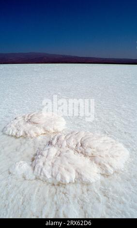Assal Lake, Salt Lake, Lac Assal, Salt, Djibouti Stockfoto