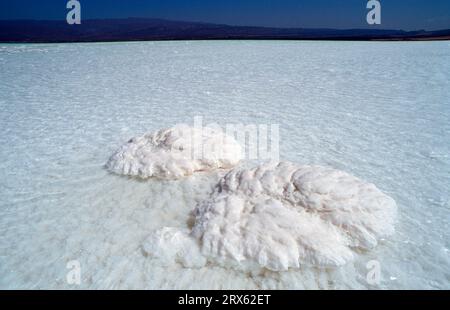 Assal Lake, Salt Lake, Lac Assal, Salt, Djibouti Stockfoto