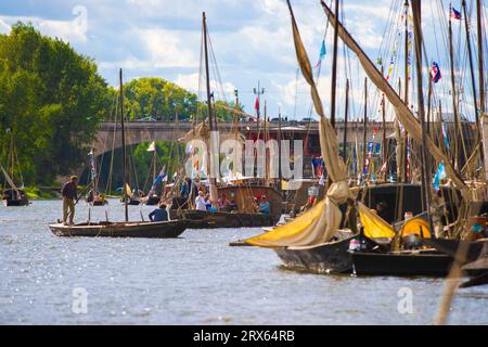 Frankreich, Loiret (45), Orleans, Loire River Festival 2023, traditionelle Segelbootveranstaltung Stockfoto