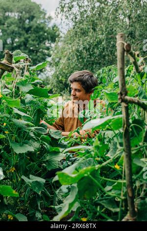 Lächelnder Mann inmitten von Pflanzen im Gemüsegarten Stockfoto