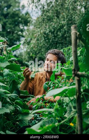 Lächelnder Mann, der Gurke im Gemüsegarten hält Stockfoto