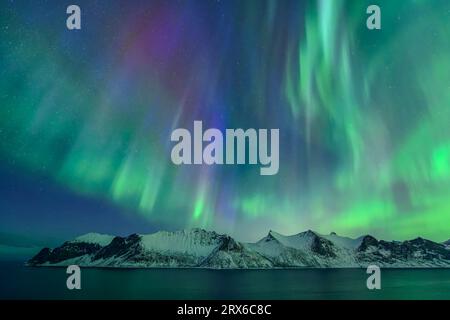 Norwegen, Troms og Finnmark, Grüne Nordlichter über Mefjord Stockfoto