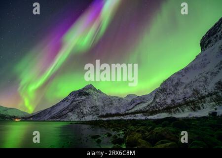 Norwegen, Troms og Finnmark, Grüne Nordlichter über Mefjord Stockfoto