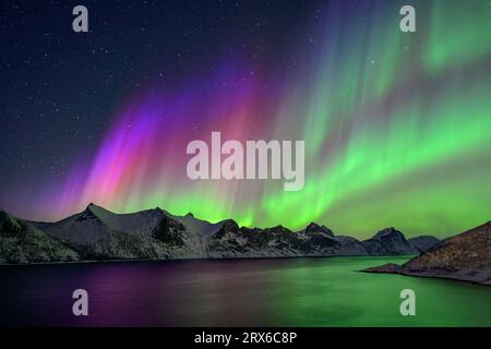 Norwegen, Troms og Finnmark, grüne und violette Nordlichter über Mefjord Stockfoto