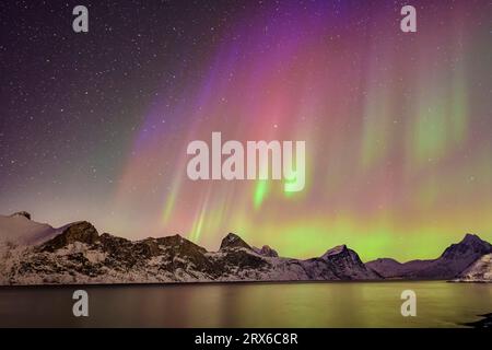 Norwegen, Troms og Finnmark, grüne und violette Nordlichter über Mefjord Stockfoto