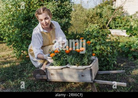 Frau kümmert sich um Blumen, die im Garten arbeiten Stockfoto