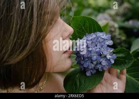 Junge Frau riecht Hortensienblüte im Garten Stockfoto