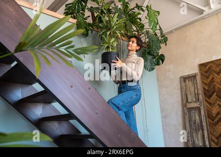 Lächelnde Frau, die Pflanze hält und auf der Treppe vor der Wand aufsteigt Stockfoto