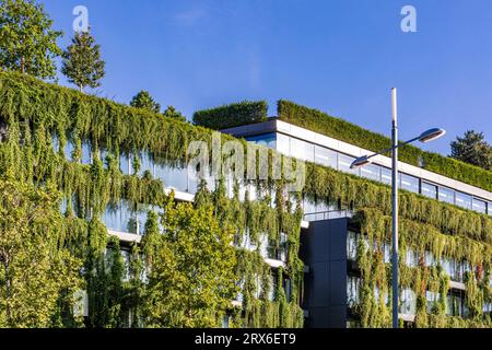 Deutschland, Baden-Württemberg, Stuttgart, verwachsene Fassade des Bürogebäudes Stockfoto
