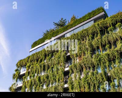 Deutschland, Baden-Württemberg, Stuttgart, verwachsene Fassade des Bürogebäudes Stockfoto