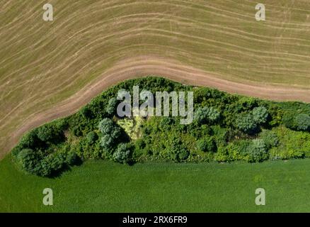 Österreich, Salzburger Land, Drohne Blick auf kleinen Teich vor gepflügtem Feld Stockfoto