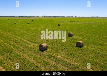 Grasballen in argentinischem Land, Provinz La Pampa, Patagonien, Argentinien Stockfoto