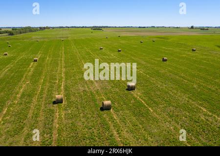 Grasballen in argentinischem Land, Provinz La Pampa, Patagonien, Argentinien Stockfoto