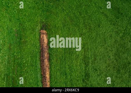 Österreich, Oberösterreich, Zell am Moos, Drohnenansicht des Dunghaufens im grünen Feld Stockfoto