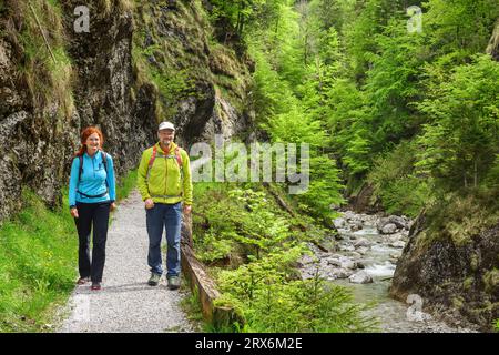 Lächelnde Frau, die mit einem Mann im Wald wandert Stockfoto