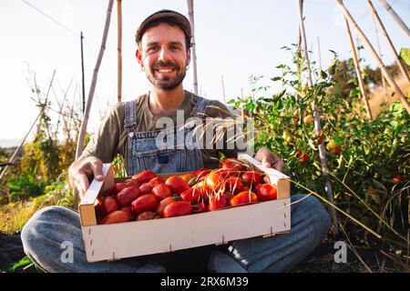 Lächelnder Mann, der mit Tomaten in Obstgarten sitzt Stockfoto