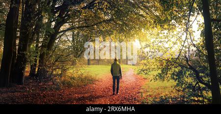 Wandern Sie aus dem Wald in die offene Landschaft, eine Erholungsszene im Herbst mit schönem Licht und Vegetation Stockfoto