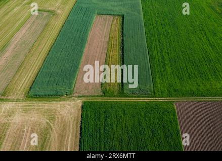 Österreich, Oberösterreich, Hausruckviertel, Drohnen-Blick auf grüne Felder Stockfoto