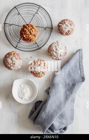 Studio-Schuss Rhabarber-Muffins mit Puderzucker auf Kühlregal Stockfoto