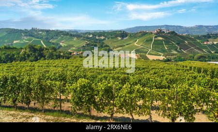 Langhe Weinberge Landschaft und Castiglione Falletto Dorf auf dem Hügel, UNESCO-Weltkulturerbe, Piemont Region, Italien, Europa. Stockfoto