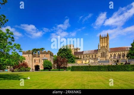 Die prächtige Kathedrale, die von den Gärten des Bischofspalastes in Wells, Somerset, England, Großbritannien aus gesehen wird Stockfoto