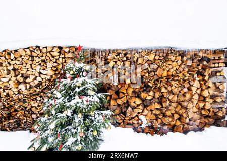 Weihnachtsbaum bedeckt mit Schnee vor Feuerholz Stockfoto