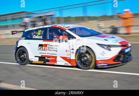 Silverstone, Northamptonshire, Großbritannien. September 2023. Ricky Collard, Toyota Gazoo Racing UK, Toyota Corolla GR Sport während der Kwik Fit British Touring Car Championships (BTCC) in Silverstone, Towcester, Northamptonshire, UK am 23. September 2023. LFP/Alamy Live News Stockfoto