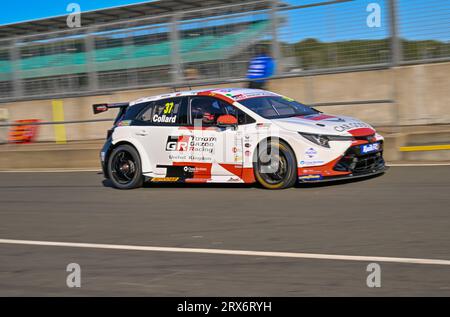 Silverstone, Northamptonshire, Großbritannien. September 2023. Ricky Collard, Toyota Gazoo Racing UK, Toyota Corolla GR Sport während der Kwik Fit British Touring Car Championships (BTCC) in Silverstone, Towcester, Northamptonshire, UK am 23. September 2023. LFP/Alamy Live News Stockfoto