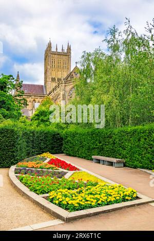 Die prächtige Kathedrale, die von innen gesehen wird Bishop Peter's Garden in den Bishop's Palace Gärten, Wells, Somerset, England, Großbritannien Stockfoto