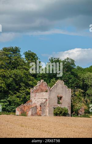 Ruiniertes, verfallenes Gebäude in einem Feld mit Feldfrüchten am Rande eines Waldes Stockfoto