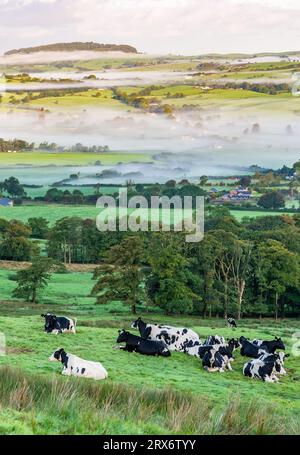 Preston, Lancashire, Vereinigtes Königreich. September 2023. Ein nebeliger Morgen über dem Laut Valley in Richtung Beacon fiel von Jeffrey Hill, Longridge, Preston, Lancashire, UK Credit: John Eveson/Alamy Live News Stockfoto