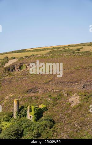 Stillgelegtes Zinnminengebäude in Porthtowan, cornwall, großbritannien Stockfoto