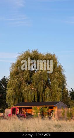 Traktor, Scheune und Baum in oxford, oxfordshire, großbritannien Stockfoto