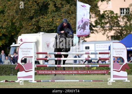 23. September 2023, Brandenburg, Neustadt (Dosse): Bei der Neustädter Hengstparade 2023 auf dem Umzugsgelände springt ein Reiter mit einem Pferd über ein Hindernis. Foto: Michael Bahlo/dpa Stockfoto