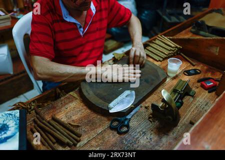 Prozess der Herstellung von traditionellen Zigarren aus Tabakblättern mit Händen mit einem mechanischen Gerät und Presse. Tabakblätter für die Herstellung von Zigarren. Nahaufnahme Stockfoto