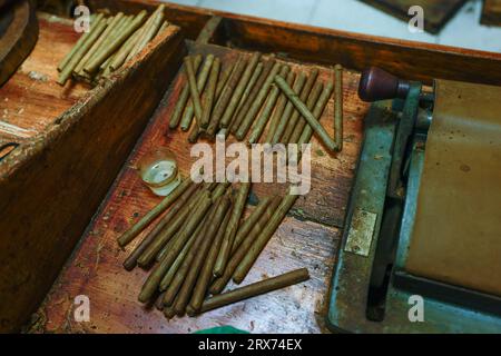 Nahaufnahme getrockneter Tabakblätter und frischer handgerollter kubanischer Premium-Zigarren in der Fabrik. Die Kunst der Raucherkultur Stockfoto