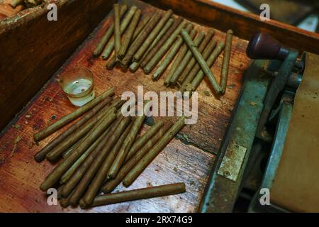 Nahaufnahme getrockneter Tabakblätter und frischer handgerollter kubanischer Premium-Zigarren in der Fabrik. Die Kunst der Raucherkultur Stockfoto