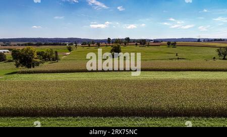 Ein Luftblick am späten Nachmittag auf Ackerland, Maisfelder, Silos, Barns und ein Single Rail Road Track, an einem späten Herbstnachmittag. Stockfoto