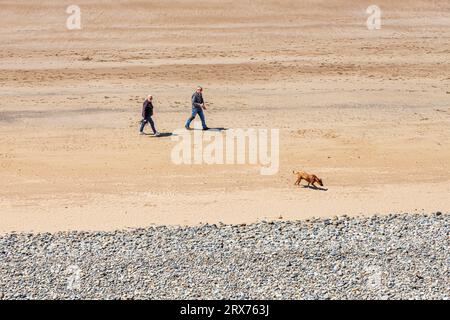 Ein Paar mittleren Alters, das seinen Hund am Newgale Beach im Pembrokeshire Coast National Park, West Wales UK, spaziert Stockfoto