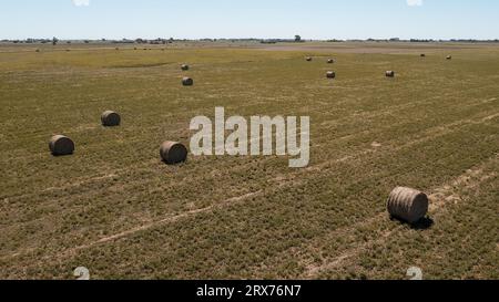 Grasballen in argentinischem Land, Provinz La Pampa, Patagonien, Argentinien Stockfoto